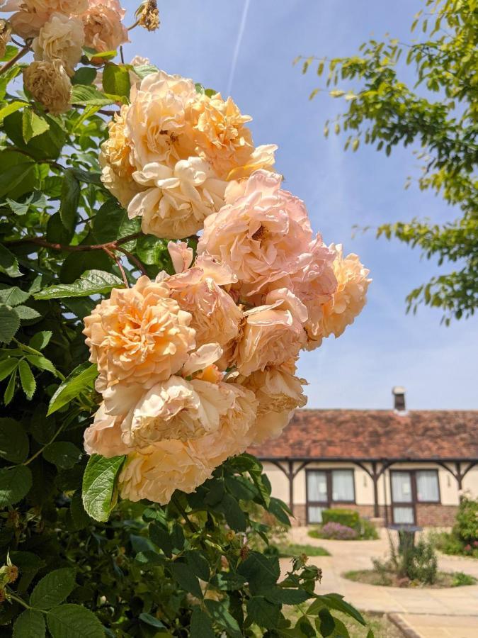 Kingfisher Barn B&B Abingdon-on-Thames Luaran gambar
