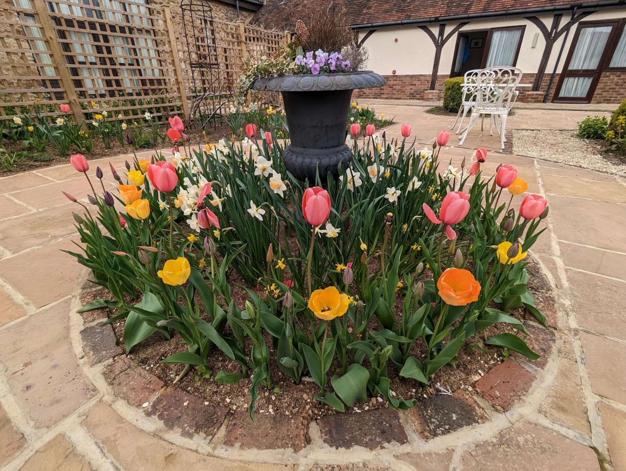 Kingfisher Barn B&B Abingdon-on-Thames Luaran gambar